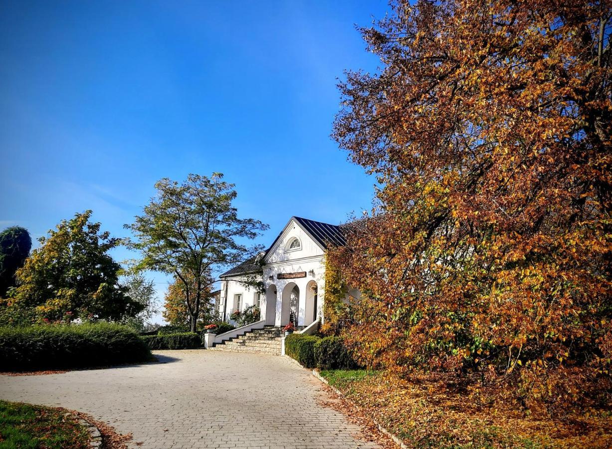 Dwor Na Wichrowym Wzgorzu Bed and Breakfast Przybysławice Buitenkant foto