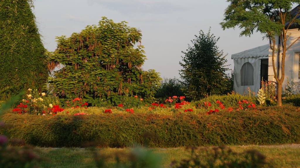 Dwor Na Wichrowym Wzgorzu Bed and Breakfast Przybysławice Buitenkant foto