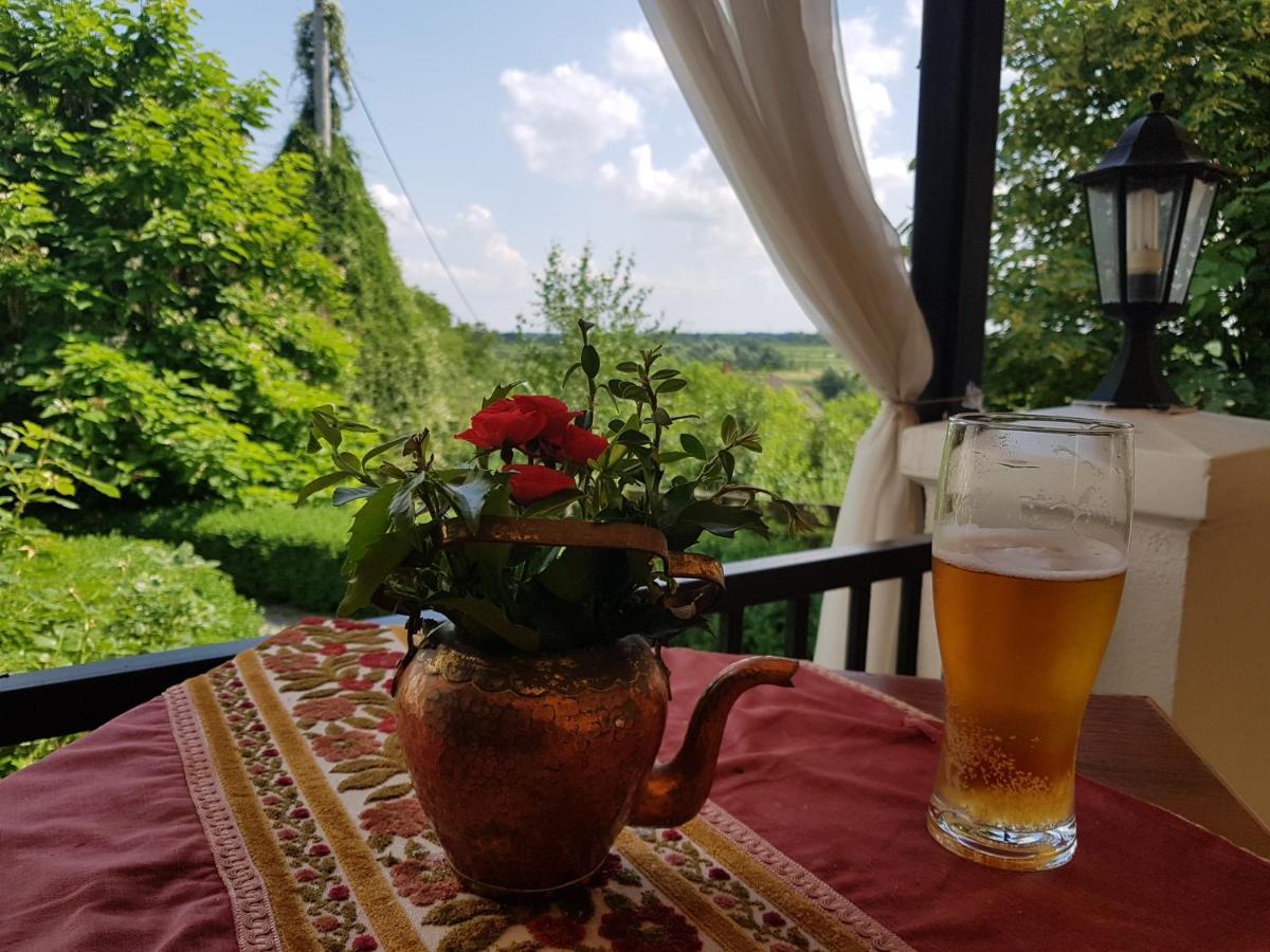 Dwor Na Wichrowym Wzgorzu Bed and Breakfast Przybysławice Buitenkant foto