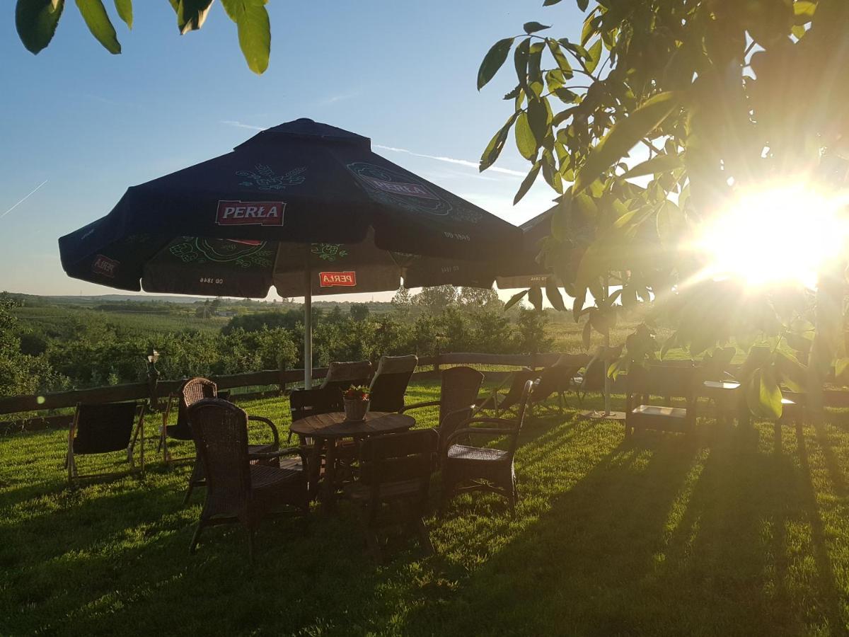 Dwor Na Wichrowym Wzgorzu Bed and Breakfast Przybysławice Buitenkant foto