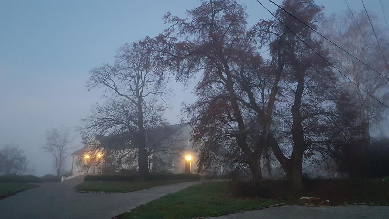 Dwor Na Wichrowym Wzgorzu Bed and Breakfast Przybysławice Buitenkant foto