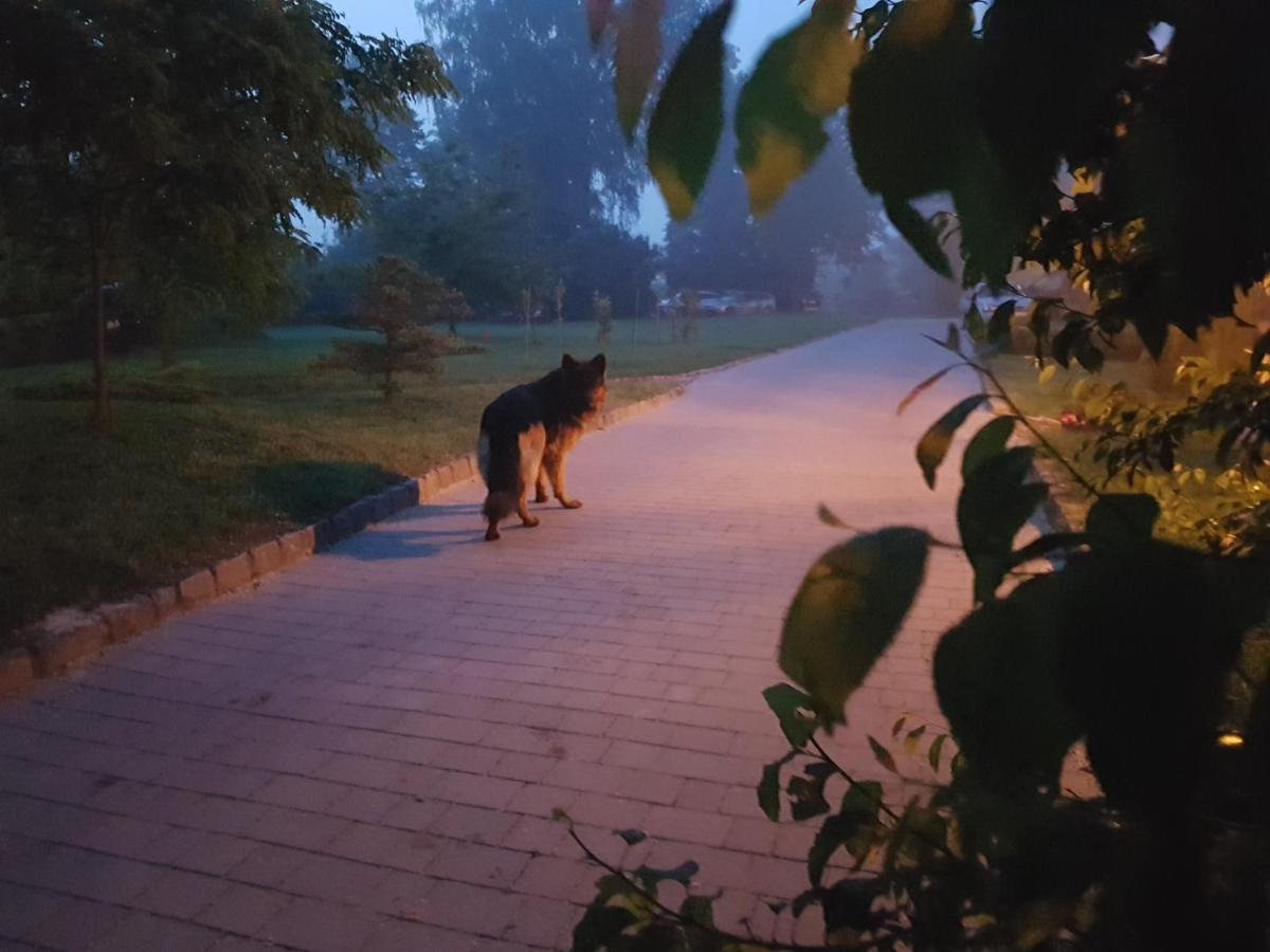 Dwor Na Wichrowym Wzgorzu Bed and Breakfast Przybysławice Buitenkant foto